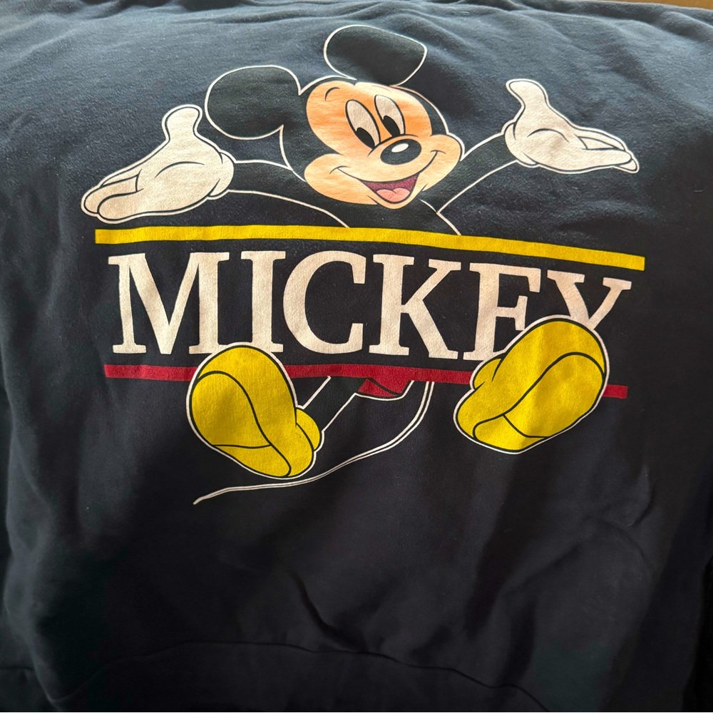 Disney Parks sweatshirt and sweatpants.